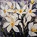 Produktbild Artland Qualitätsbilder I Glasbilder Deko Glas Bilder 40 x 40 cm Botanik Blumen Narzisse Malerei Weiß C1SH Narzissenfest