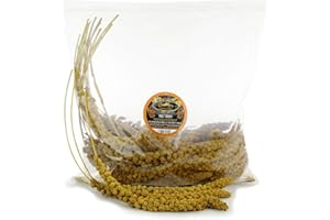 CHUBBY PET PRODUCTS 1Kg Chubby Millet Spray for Birds - Bird Treats for All Species of Caged and Wild Birds