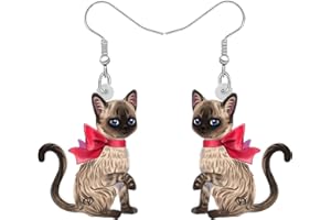 RAIDIN Boucles d'oreilles pendantes en acrylique chat Animaux de compagnie mignon pour femmes filles Bijoux Anime Kitten Cadeaux pour les amoureux des chats