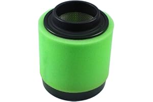 Yerbay Filtro aria per Polaris Trail Boss 325 01-02/ Magnum 325 01-03/ Magnum 330 03-06/ Trail Boss 330 03-09/ ATP 330 04-05/ Trail Blazer 330 08-09 1253372