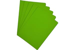 Raylu Paper® - Pack de 25 Subcarpetas de cartulina para documentos, con agujeros para fastener y colores vivos. Carpetas de cartulina kraft gruesa de 200g (Verde, A4)