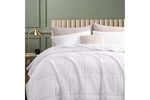 RUIKASI Piumino Estivo Letto Una Piazza e Mezza 200x200 - Piumone Leggero 200x200 Trapunta Microfibra Piumini Duvet 150gsm