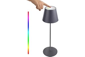 UUFFOO Lampada Tavolo Senza Fili, lampada 8 colori RGB LED tavolo ricaricabile, Impermeabile IP54 Dimmerabile Lampada Touch da Metallo Tavolo per Interno ed Esterno[Classe di efficienza energetica A+++]