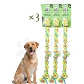 Proud Wave K&ouml;pek Oyuncağı 3l&uuml; Set Renkli &Ccedil;ekiştirmeli Halat Pamuk - K&ouml;pek Isırma Kemirme Oyuncağı Top Diş İpi (3 ADET, Renkli