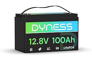 Dyness Batteria Litio 12V 100Ah LiFePO4 a Ciclo profondo con 100A BMS, Protezione Dalle Basse Temperature, Max. 15000 cicli, per Camper, Impianti Solari off-grid, Fotovoltaico Accumulo