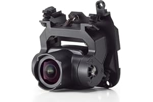 DJI FPV - Cámara con estabilizador, cámara Compatible con el dron DJI FPV, vídeo 4K, Lente Ultra Gran Angular de 150°, Disparo dinámico