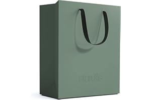 stardis binbox Design Papierkorb eckig stylischer Papiereimer mit Tragegriffen für Büro Office Kunststoff Mülleimer Abfalleimer Müllkorb (grün)