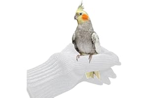 Camidy Adiestramiento de Aves Guantes Anti- Mordedura Guantes Protectores para Masticar Loros Guantes para Manipular Animales Guantes Protectores de Alambre de Acero para Masticar