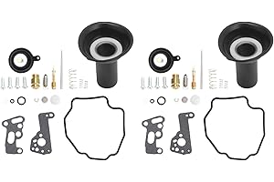 KIMISS Kit de reparación de reconstrucción de carburador, reacondicionamiento de carburador, juego de reacondicionamiento de carburador de motocicleta, reemplazo para Virago XV535 1990-2001 XV 535