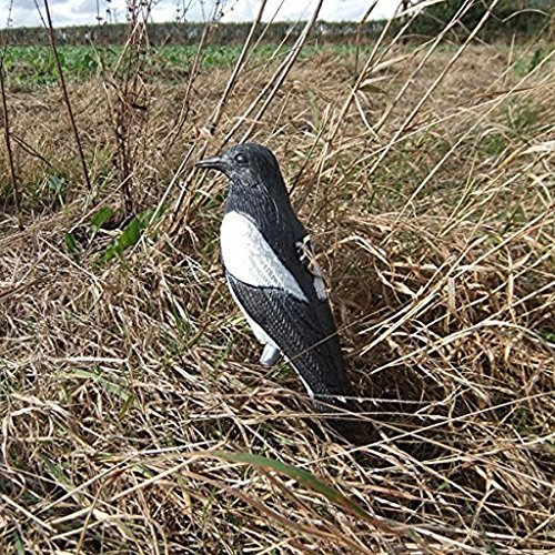 MagiDeal Elstern Köder Jagd Köder Schießen Trap Schädlingsbekämpfung Garten Scarer Vogelscheuche - 3