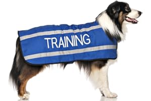 Dexil TRAINING (Dog In Training/Do Not Disturb) Blue Colour Coded S M L Reflective Waterproof Fleece Lined Warm Dog Coats PREVENTS Accidents By Warning Others Of Your Dog In Advance (M-L)