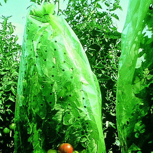 Xclou Garden Tomatenhaube, Transparent, ca. 0,65 x 10 m - 3