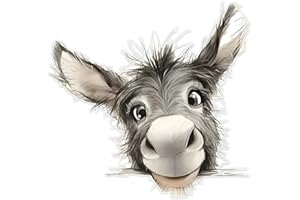 #DZ23 - Juego de 2 pegatinas divertidas para coche (13 x 12,5 cm), diseño de burro