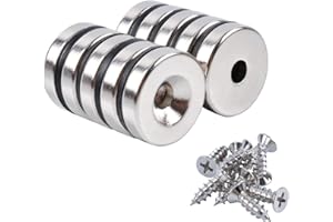 OCEUMAOA Calamite Potenti Magnete Circolare con Foro Svasato Calamita Neodimio Calamite Piccole 20x5mm Buco 5mm Forati Vite Rondelle Base per Frigorifero Rotonde Industrial science 10 Pezzi