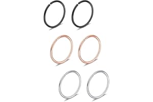 Briana Williams 6piezas Fake Anillo de la nariz Aro Septum Tragus Cartílago Pendiente Aro Piercing 22G 20G 18G 16G 6/8/10/12mm Acero inoxidable Faux Joyería Piercing