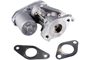 Globalautoparts Valvole EGR 1466340, 1480560, 1618HQ, 1618R5, 71793436, LR006650 per Manager, per Ducato, per Transit, per Defender, per Jumper, 2.2 HDi, 2.2 TDCi, 2.4 TDCi, 3.2 TDCi
