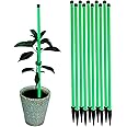 Trelliskart 18 Inches Plant Support Sticks Garden Plant Support | Trellis for Creepers, Stem Support Poles | Structure Plant Stakes for Indoor & Outdoor- Pack of 20, Green Color