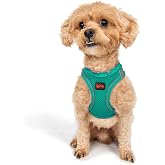 Tailpetz Air-Mesh K&uuml;&ccedil;&uuml;k ve Orta Irk Kedi K&ouml;pek G&ouml;ğ&uuml;s Tasması - Yumuşak, Nefes Alabilir, Dayanıklı (Emerald, 2XS)