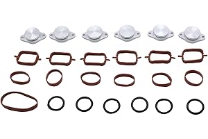 25PCS/SET SHLPDFM 6x33mm Compatible with Bmw Diesel Swirl Flap Blanks Repair 320d 330d 520d 525d 530d 730d With Intake Manifold 13 pcs Gaskets for BMW M57 E39 E46 E60 E61 E65 E66 E90 E91 E92 E53 E83