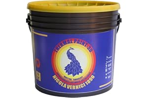 NICOLA VERNICI Thermal Paint Pittura Termica ad Acqua 5lt - Termoisolante, Fonoassorbente, Anticondensa, Antiallergica e Antimuffa, Made in Italy - Bianco