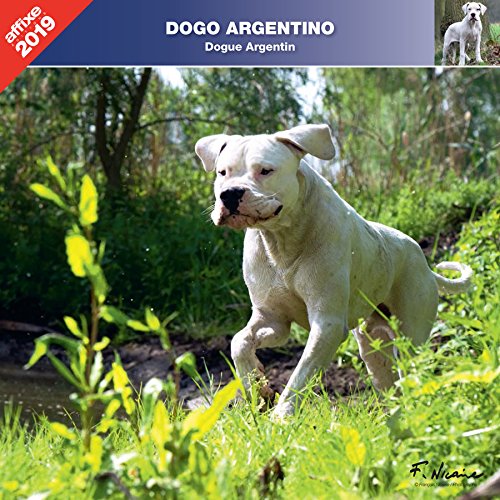 Download DOGUE D'ARGENTINE 2019 - CALENDRIER AFFIXE (DOGO ARGENTINO)