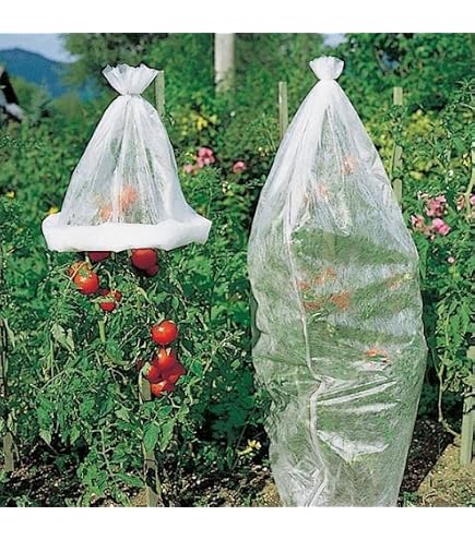 Film Tubulaire Tomate Tenax Jaune - 0.60x10m, Pour Accélérer Maturation | Protection Contre Oiseaux Et Pluie