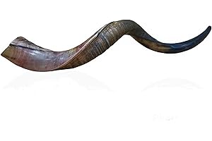 GETUE 20"-22" Half Polished Kudu Horn Shofar Kosher Approved Sterilized Good Sound