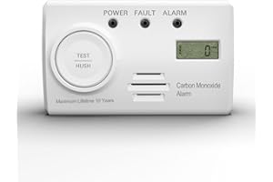 RUAN Kohlenmonoxid Melder, 10-Jahres-Batterie CO melder mit LCD-Display und Silent-Test-Taste, EN50291 konform, Kohlenmonoxid-Warner (TCS310A-H)