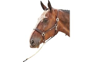 John Whitaker Ready to Ride Headcollar Brown Full