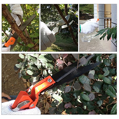 12Pcs Bonsaiwerkzeug set Pathonor Gartenarbeit Werkzeug Set Gartenschere, Spaten, Schaufel ideal für Profigärtner kleinere Arbeiten am Beet oder Balkon - 5