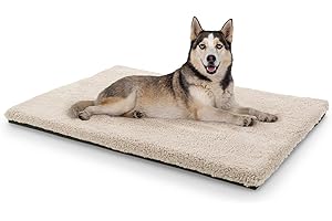 brunolie Luna - Couverture pour Chien, orthopédique, Respirante et Lavable, lit pour Chien, Mousse à mémoire de Forme, Taille L (100 x 70 x 5 cm) - Beige