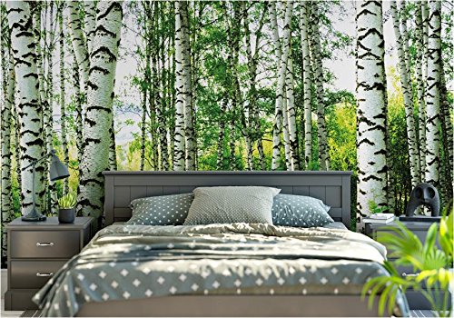 beneart® Fototapete Birkenwald – 350 x 250 cm – Wandbild bunt XXL – Home Deko – Tapete Wald – Wand Deko – viele verschiedene Motive - 2