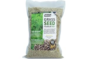 UK GROW UKgrow Fast Grow Grass Seed: Quick-Sprouting Lawn Seed for Patch Repairs & New Lawns - from 1m² to 100m² Packs (50m² Pack)