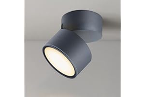 EBION GX53 Ceiling Lights,90° Swivel Ceiling Spotlights,IP54 Waterproof Aluminium Surface-Mounted Downlights for Ceiling,Suitable for Living Room,Bedroom,Bathroom,Hallway,Balcony,Anthracite,1 Pack