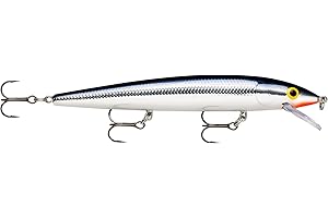 Rapala Husky Jerk 10 Fishing Lure