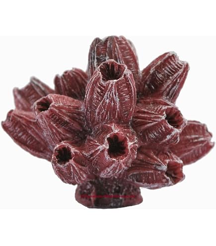 Nobby Bamacles Aquariumornament – Polyresin – 12x10x12 Cm – Natuurgetrouw – Niet-giftig – Voor Zoet- En Zoutwater – Decoratief