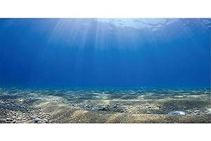 MIRRORANG 91x50cm Acquario Subacqueo Sfondo Sole Blu Oceano Sabbia Spiaggia Terrario Sfondo Acquario Subacqueo Sfondo