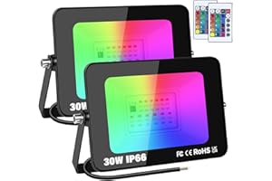 RIGIDON 2 Pack 30W RGB Projecteur LED Extérieurs Avec Télécommande, Exterieur & Interieur 16 Couleurs 4 Modes RGBW Lumière de Projecteur, Neon Spot Led Pour Jadin, Terrasse, Patio, IP66 étanche