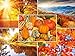 Produktbild HERBST-LANDSCHAFTEN: 20-er Postkarten-Set (5 Motive x 4 St.) für Postcrossing und Vielschreiber von EDITION COLIBRI (10695 - 99)