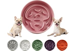 PTOBER Comedero Perro Antivoracidad Ceramica - Plato Comida con Laberinto para Alimentación Lenta - Cuenco para Perros Pequeños - 80 g - 16 cm - Rosa