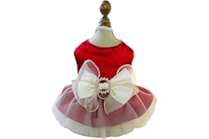 BT Bear Robe pour petit chien - Jupe chiot avec nœud rétro - Robe de princesse pour chat - Jupe tutu en dentelle de mariage (rouge vin, XS)