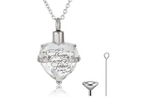 Canghai Rousa Heart Cremation Urn Necklace for Ashes, Stainless Steel Keepsake Pendant Necklace Ashes Holder Memorial Jewelry for Mum Dad Women Men Dog Pet