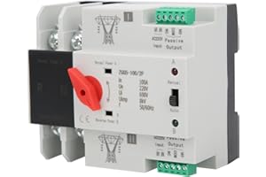 Jadeshay Conmutador Automatico, 220V Interruptor de Transferencia Automática de Doble Potencia Controlador de 2 Vías Carril DIN de Alimentación Ininterrumpida ZGQ5-100/2P