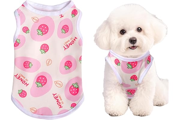 Dog Shirt, Cat Shirt, Pet Sterilization Suit for Small to Medium Dogs and Cats Soft Polyester Fabric Comfortable and Post-Surgery Protection