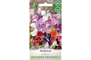 WegAna Fragrant sweet pea seeds 2g, mezcla de colores, planta trepadora de colores, plantas de jardín, plantas de balcón, pasto para abejas, semillas de flores, semillas de flores