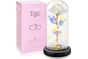 SOGYUPK Rose im Glas, Ewige Rose im Glas mit LED-Licht,Die Schöne und das Biest, Künstliche Blumenrose Romantische Geschenke für Mama, Oma, Frauen, Freundin, Valentinstag, Geburtstag(Warmes Licht)
