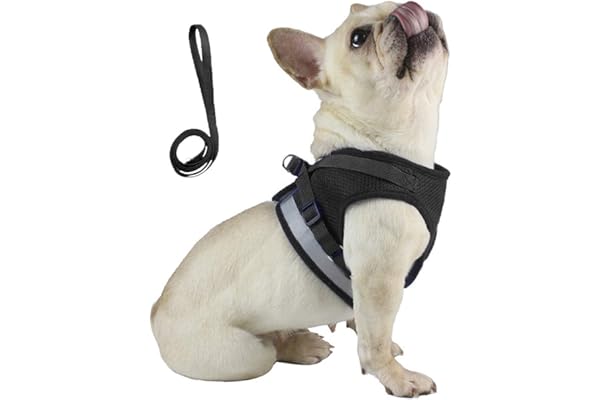 best cat harnesses