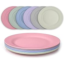 JSYMJSY Diepe Bordenset, 6-Delig 25cm Onbreekbaar Dinerborden Plastic