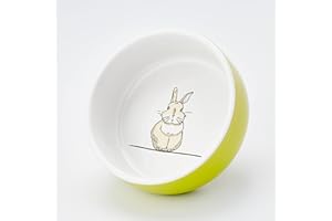 Nobby Gamelle en céramique pour rongeurs - Motif Lapin - Vert/Blanc - Diamètre : 11 cm x 4,5 cm