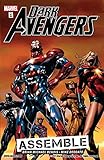 Image de Dark Avengers Vol. 1: Assemble